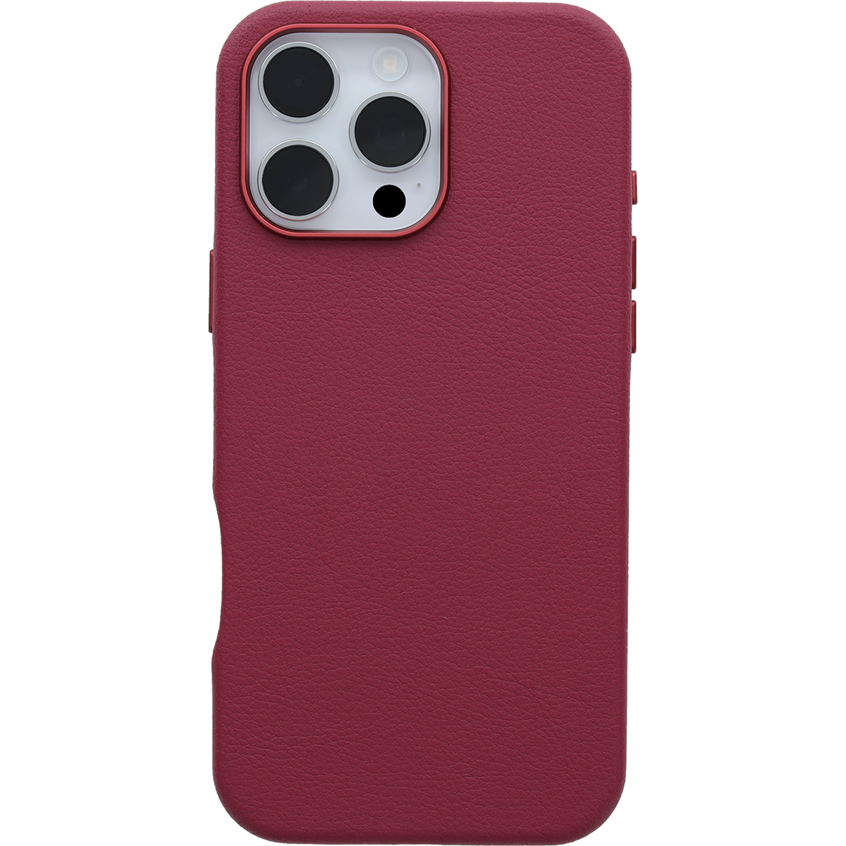 iPhone 16 Pro Max Symmetry Series Cactus Leather for MagSafe Case - Image 27324