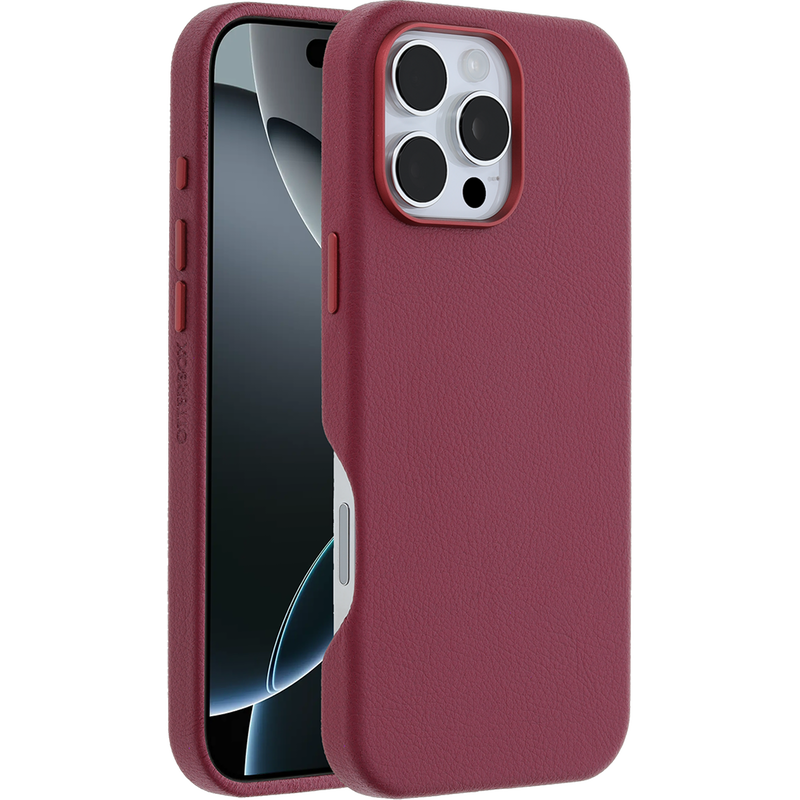 product image 1 - iPhone 16 Pro Max Case Symmetry Series Cactus Leather for MagSafe